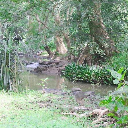 Nature Glow Cottage Udawalawe Exterior photo