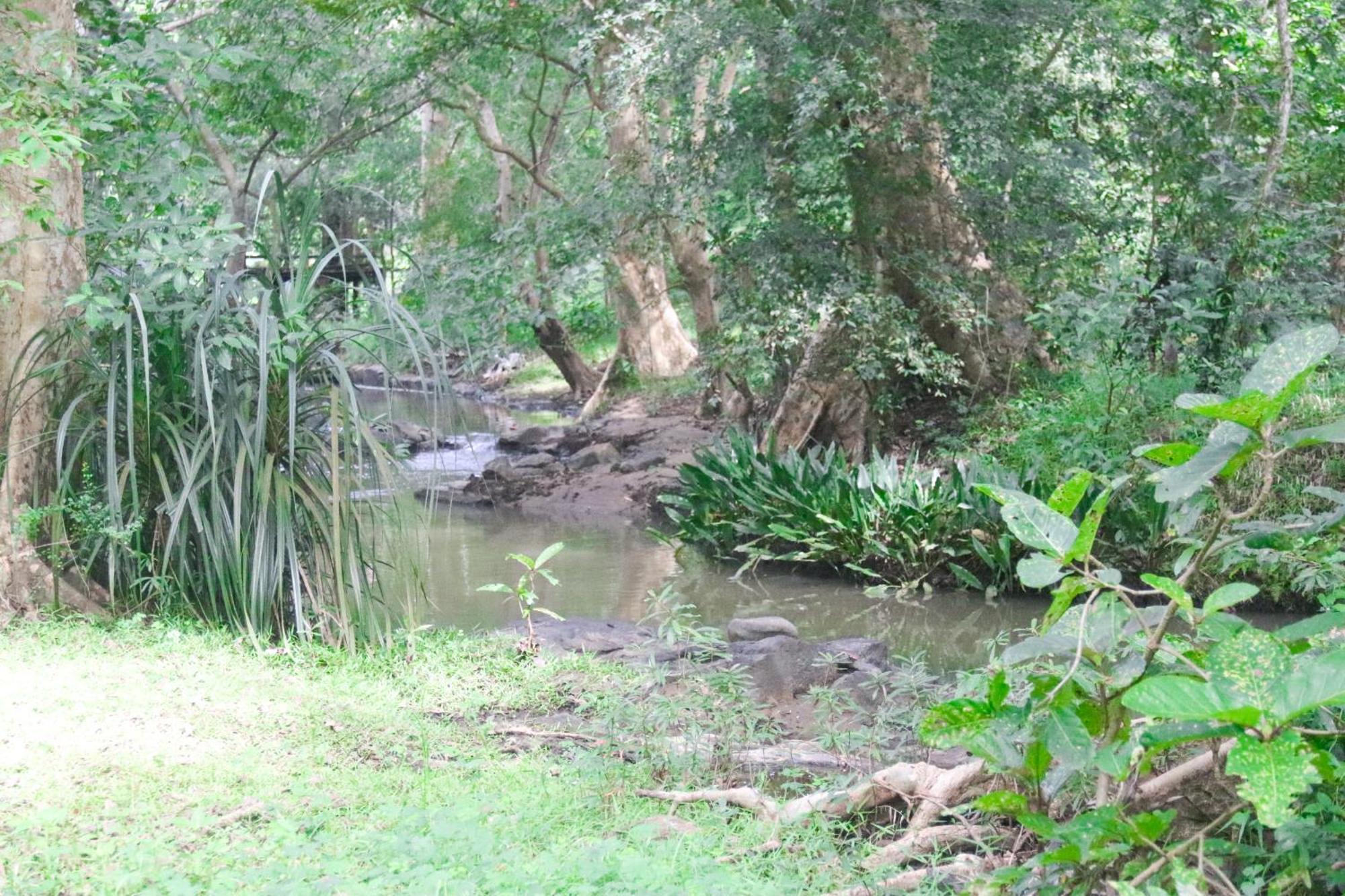 Nature Glow Cottage Udawalawe Exterior photo