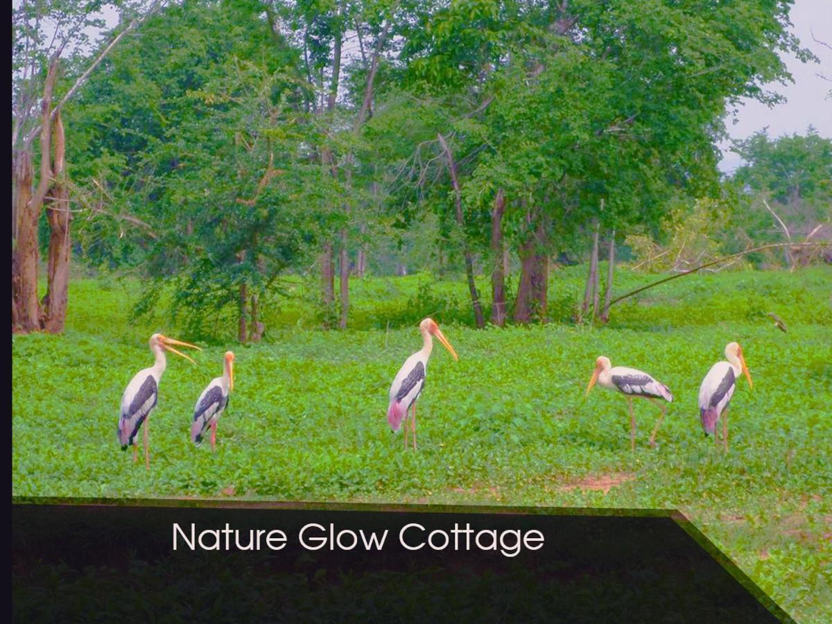 Nature Glow Cottage Udawalawe Exterior photo