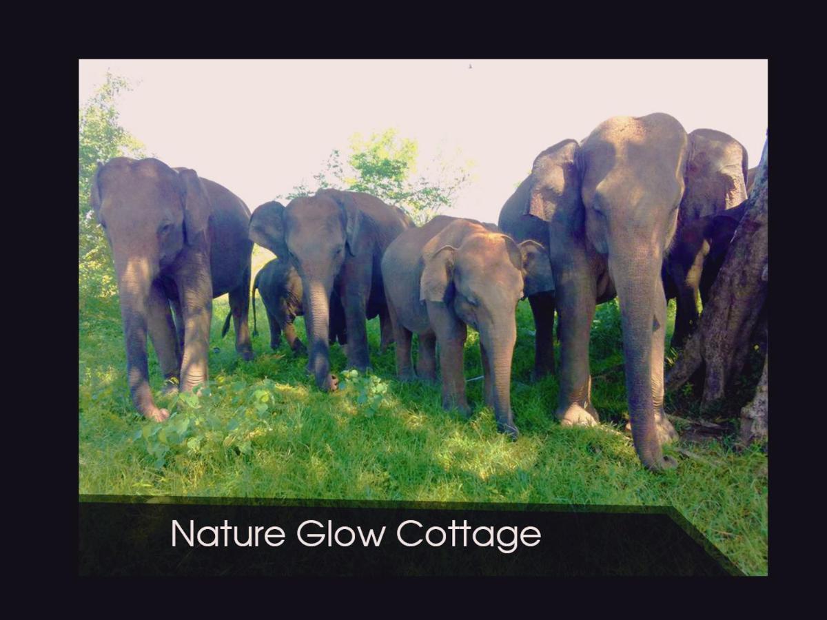 Nature Glow Cottage Udawalawe Exterior photo